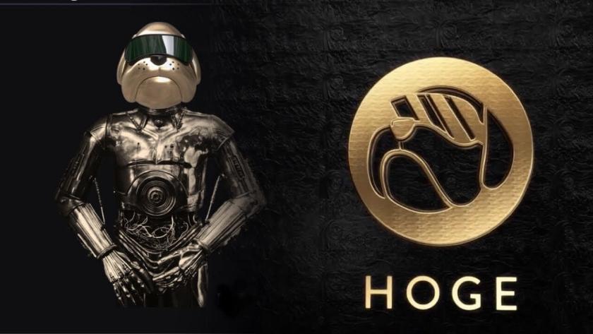 What is HOGE ? and what is HOGECoin Price in Today ?